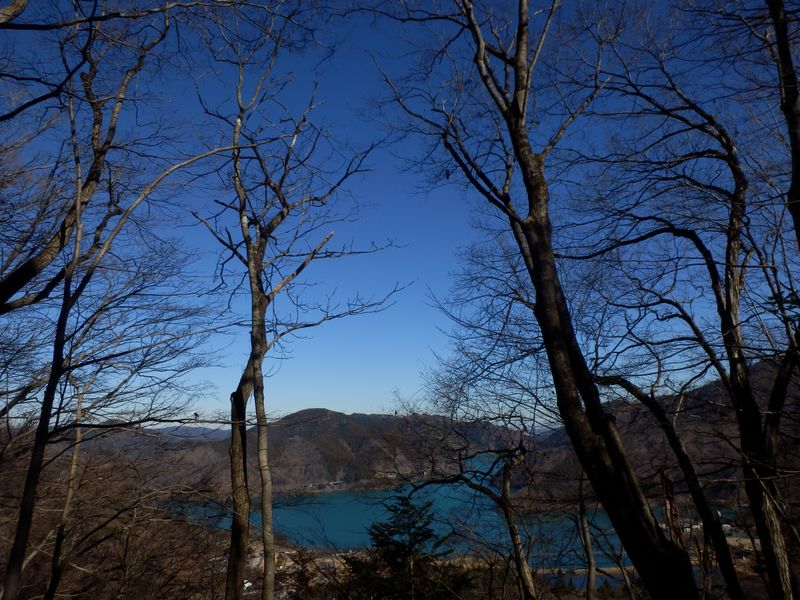 春ノ木丸山頂より、宮ヶ瀬湖を望む