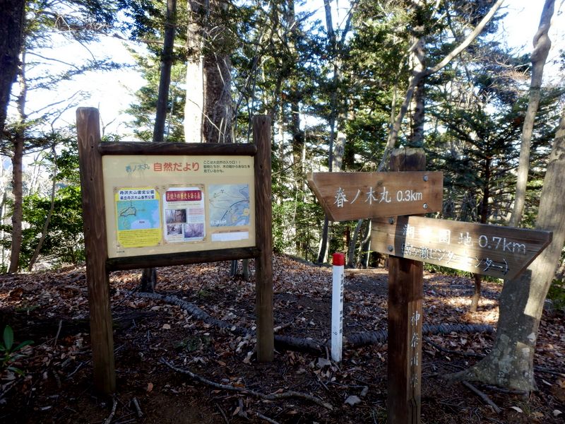 右折して、湖畔園地に下る
