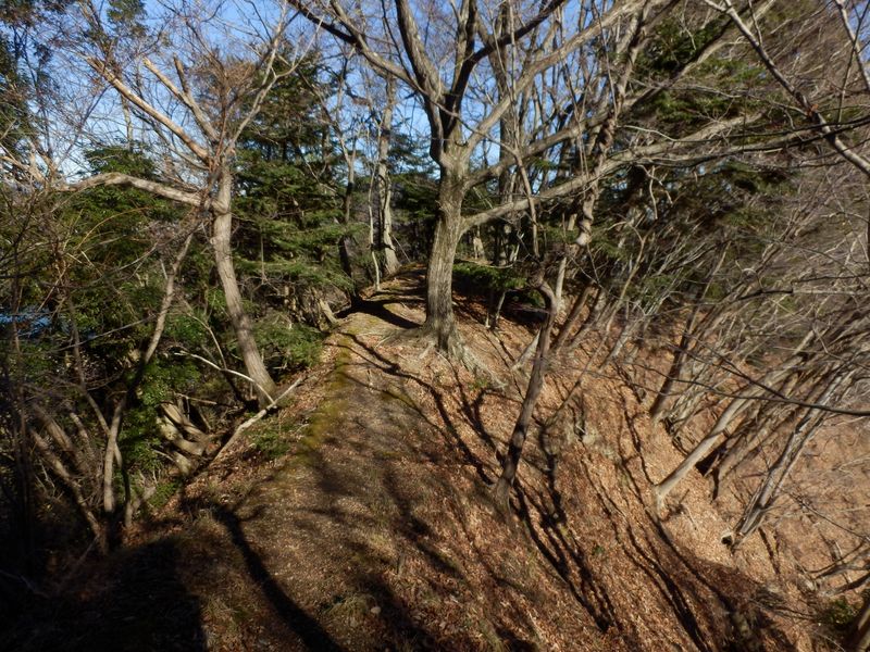 渡り廊下のような尾根