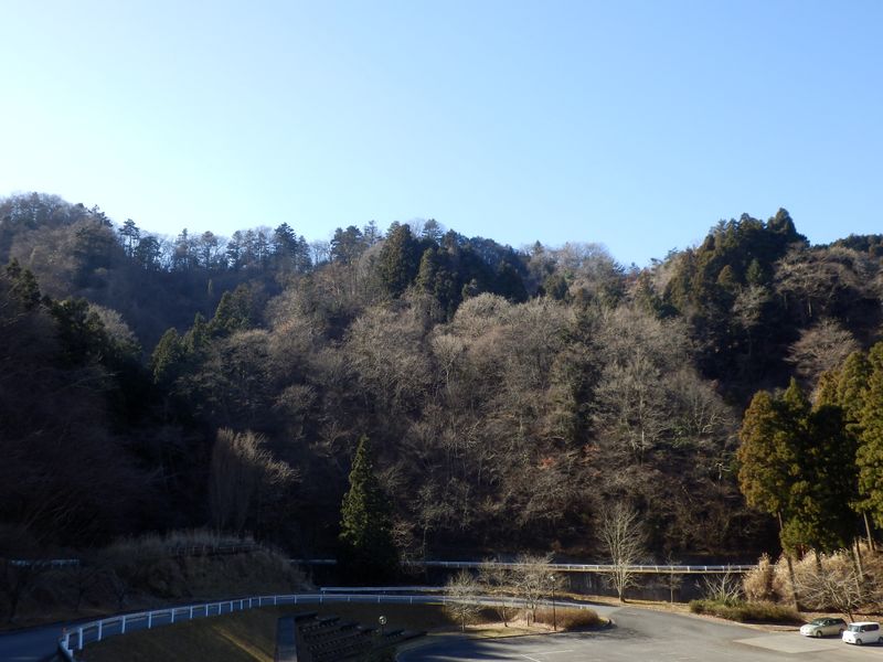 広い駐車場に下りて行く