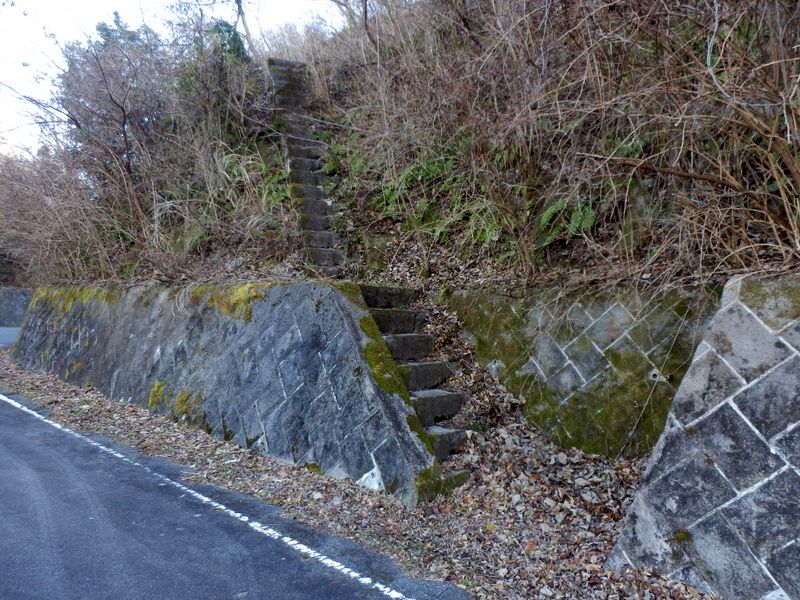 この石段を昇る