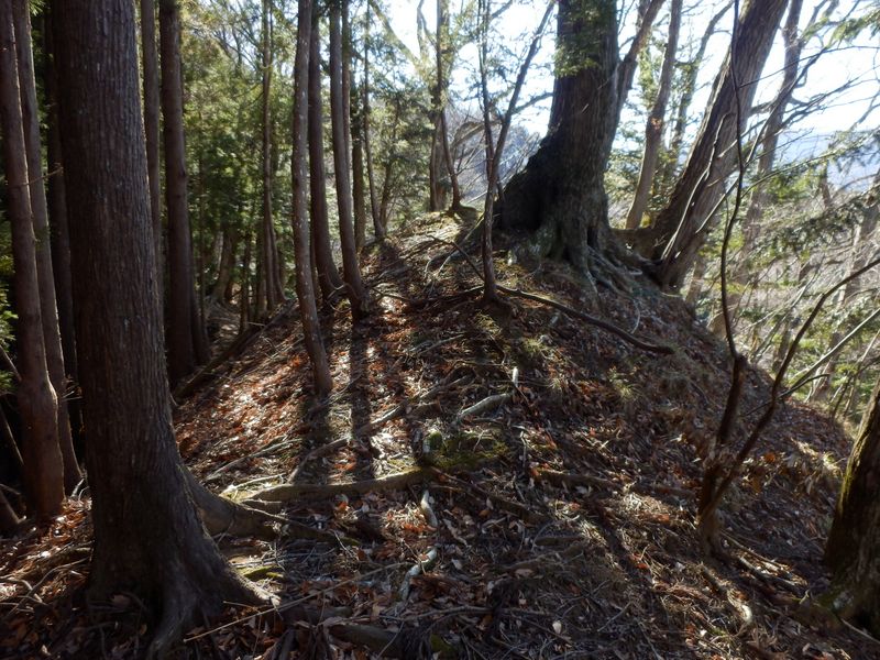 汁垂沢右岸尾根に乗って