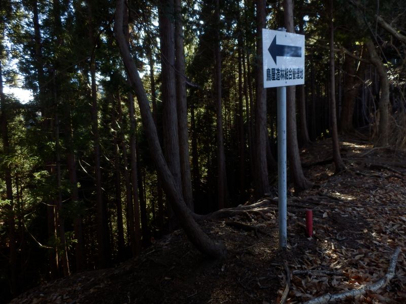 左から上がって来る尾根を合わせる