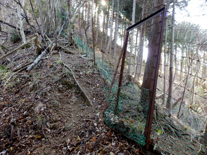 鹿柵の扉をくぐる