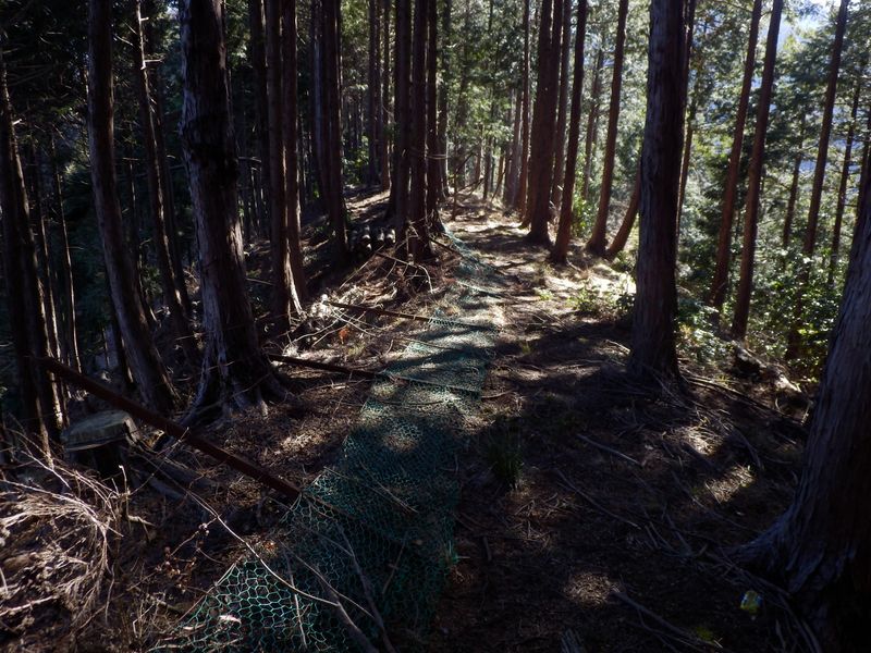 鹿柵が東に倒れている