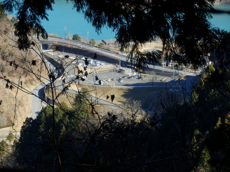 駐車場を覗き見る