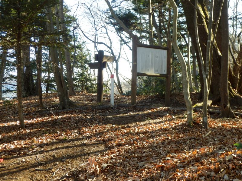 ハイキングコースと出合う