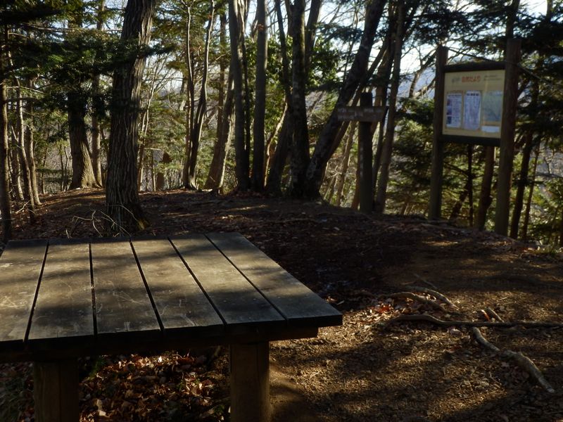 再び春ノ木丸山頂