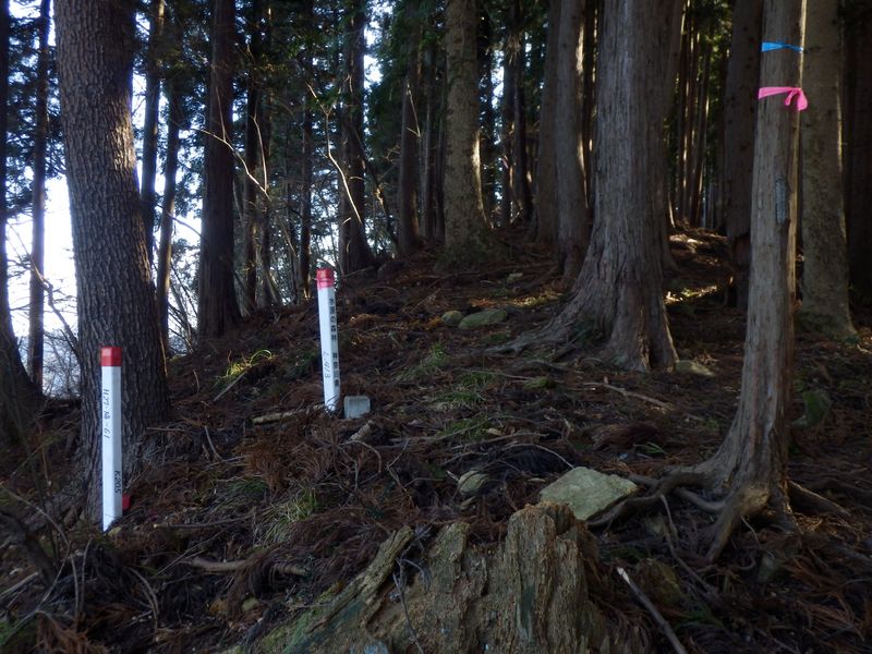 汁垂沢両岸の尾根が出合う