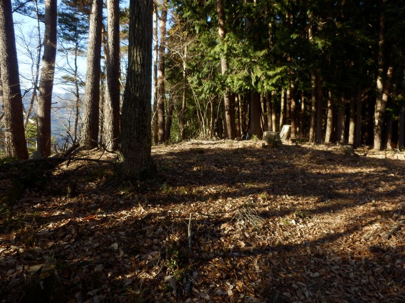 汁垂沢ノ頭（568m）