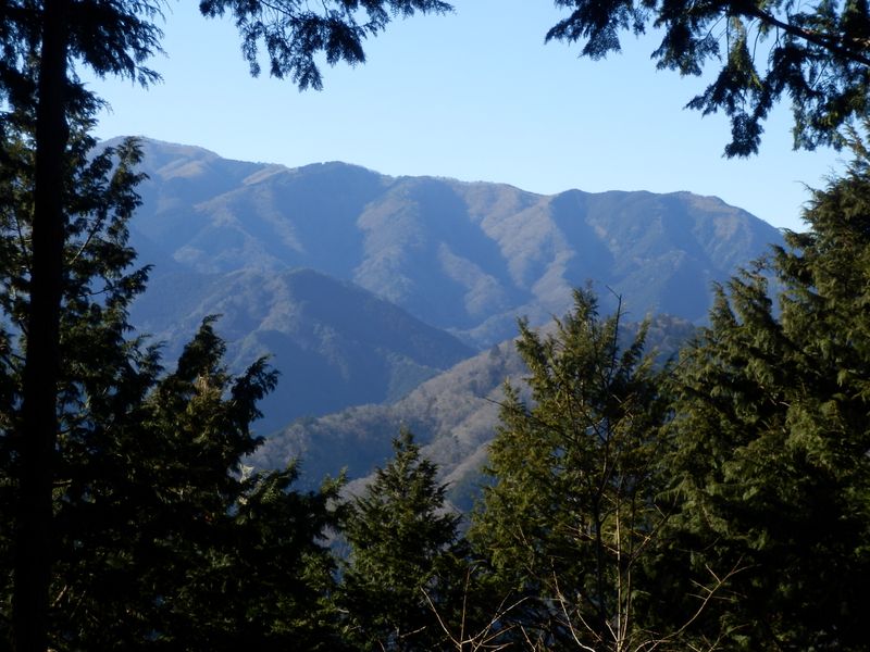 黍殻山〜焼山の稜線