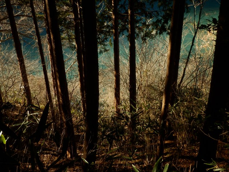 道間違いに気づく