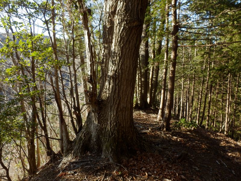 pc281927.jpg (large)