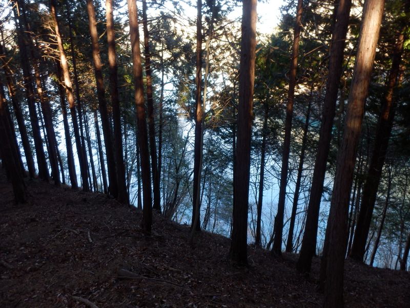 ♪どんぐりころころどんぶりこ！