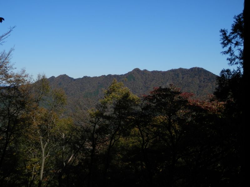 振り返ると仏果山