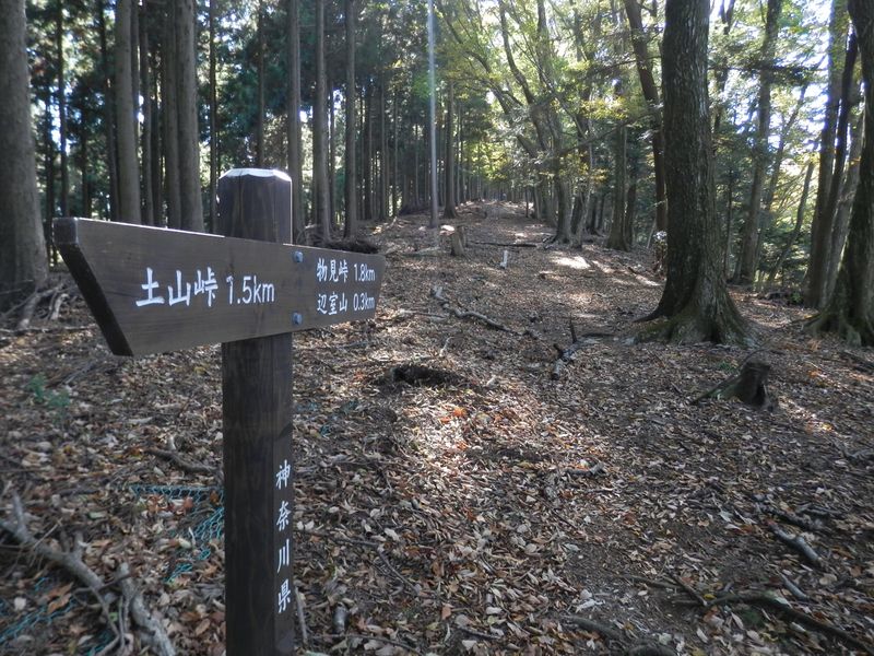 辺室山山頂までの300mはほぼ平坦