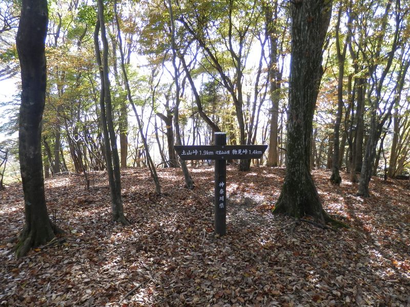 辺室山山頂標付近