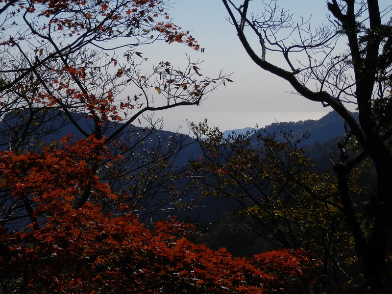 南に相模湾が光って