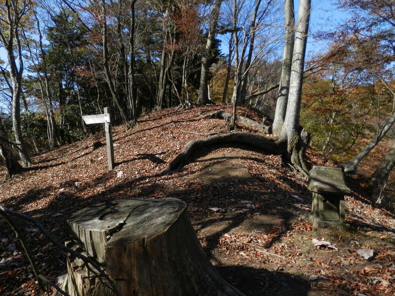 石の祠のある分岐に到着