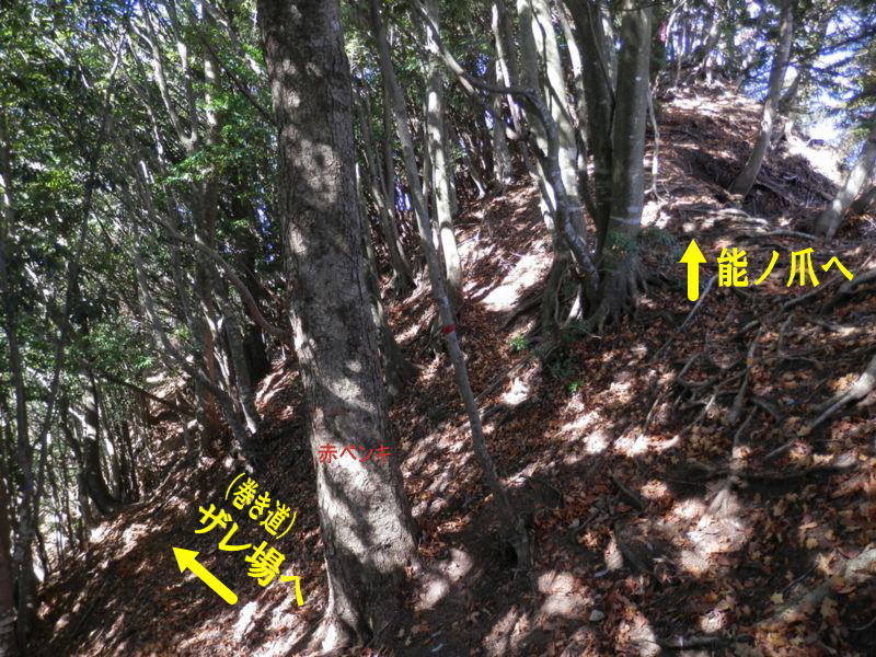 右の小ピーク（能ノ爪）に登る方が安全