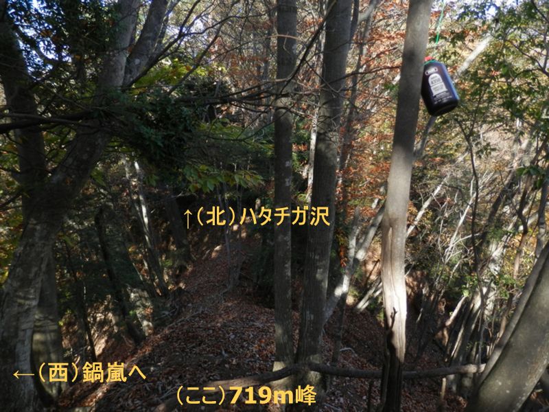 これには進まない