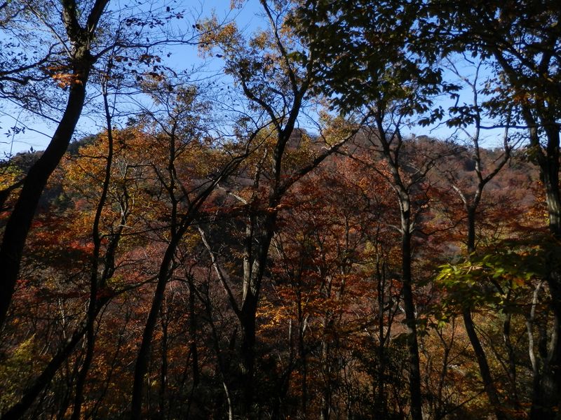 鍋嵐（左）が見え始めた
