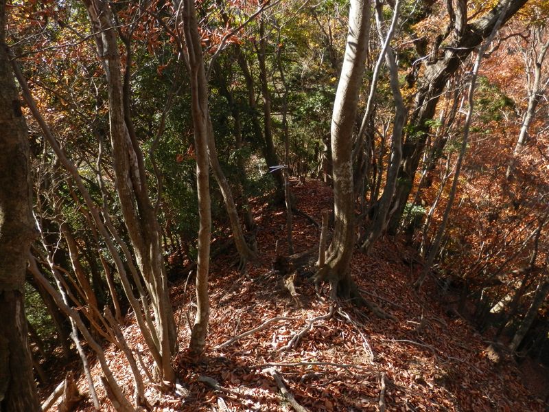 相変らずやせ尾根が続く