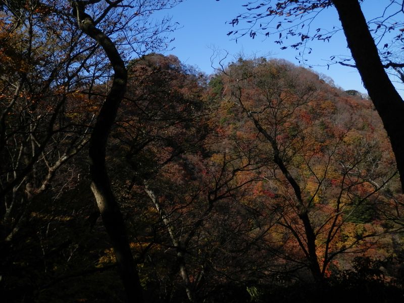 鍋嵐の北に隣接する峰