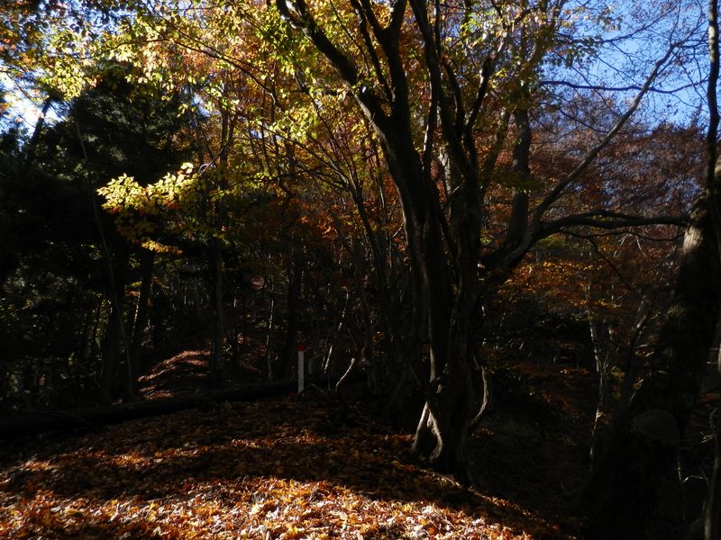 鍋嵐まで、あと10分ほど