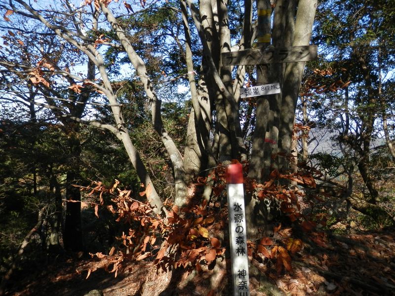 鍋嵐山頂に到着