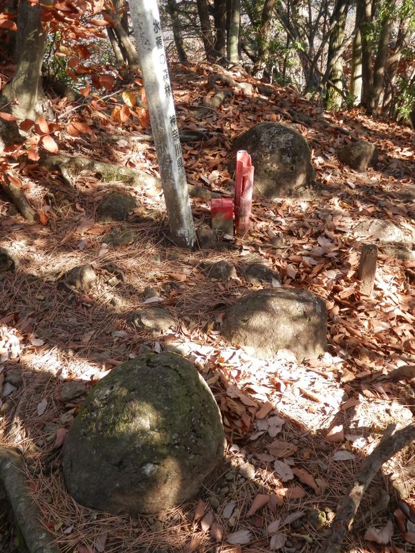 頭の丸い石がたくさん