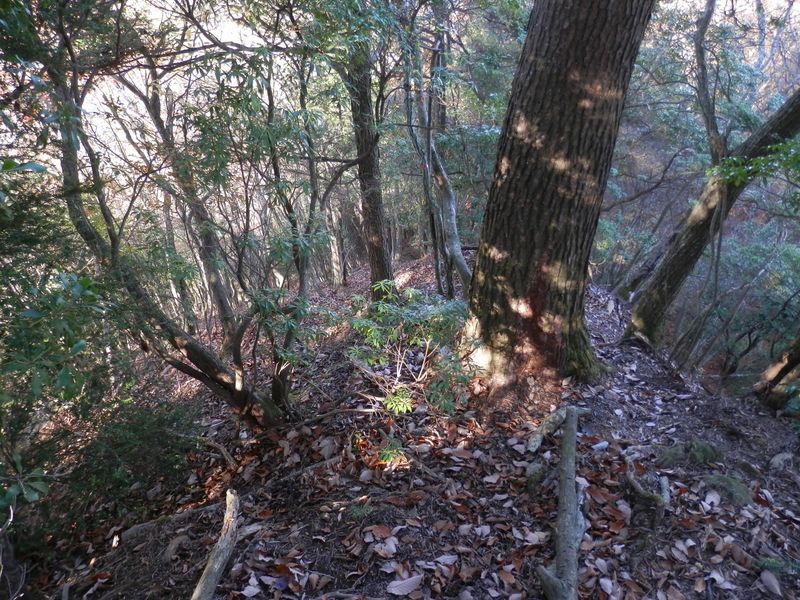 鍋嵐山頂から北に急降下する道