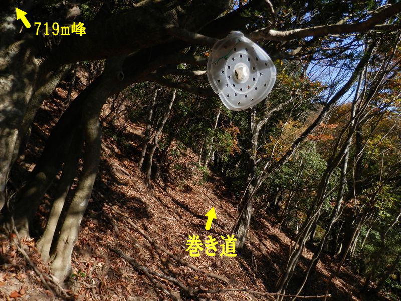 719m峰の南面に巻き道かな？