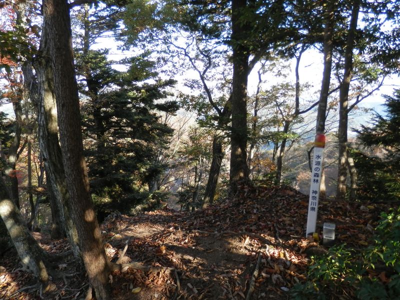 能ノ爪（宮ヶ瀬尾根分岐）