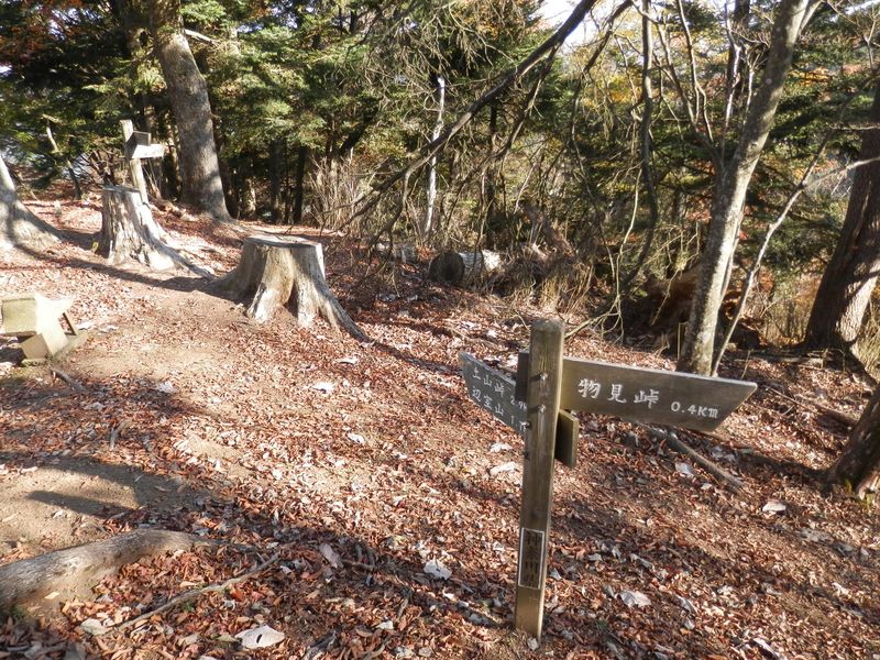 石祠のある分岐に戻って来た