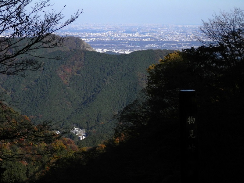 物見峠から厚木市街地を望む