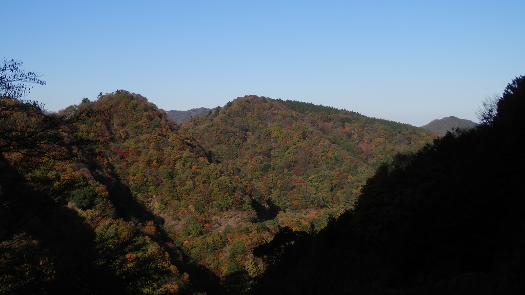 pb195974.jpg (large)