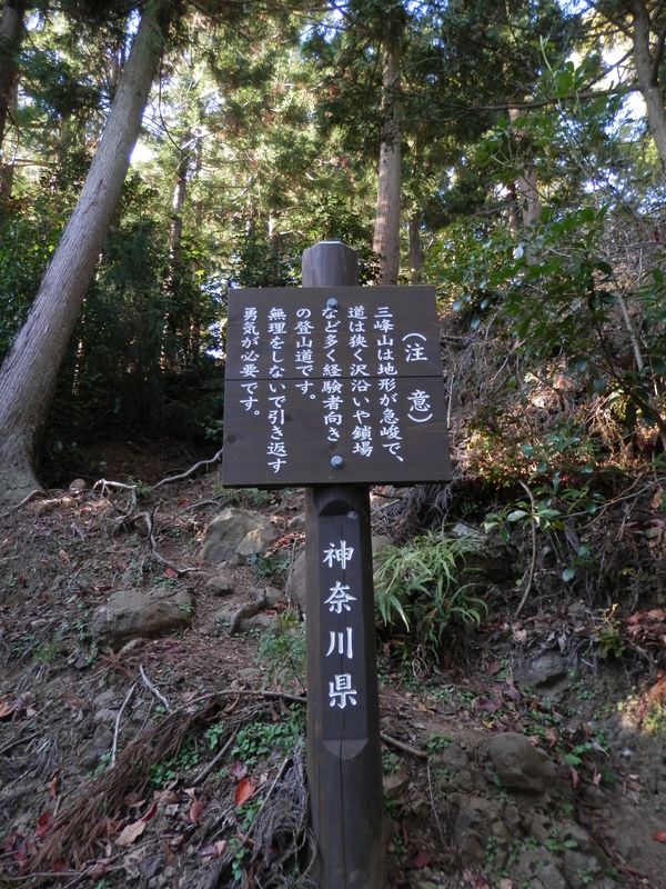 大山三峰山からの道を合わせる