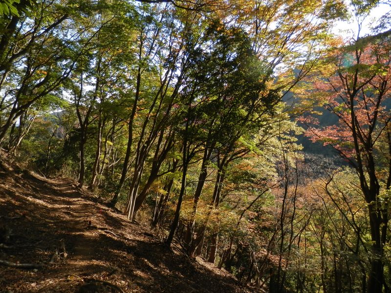 煤ヶ谷まであと2km