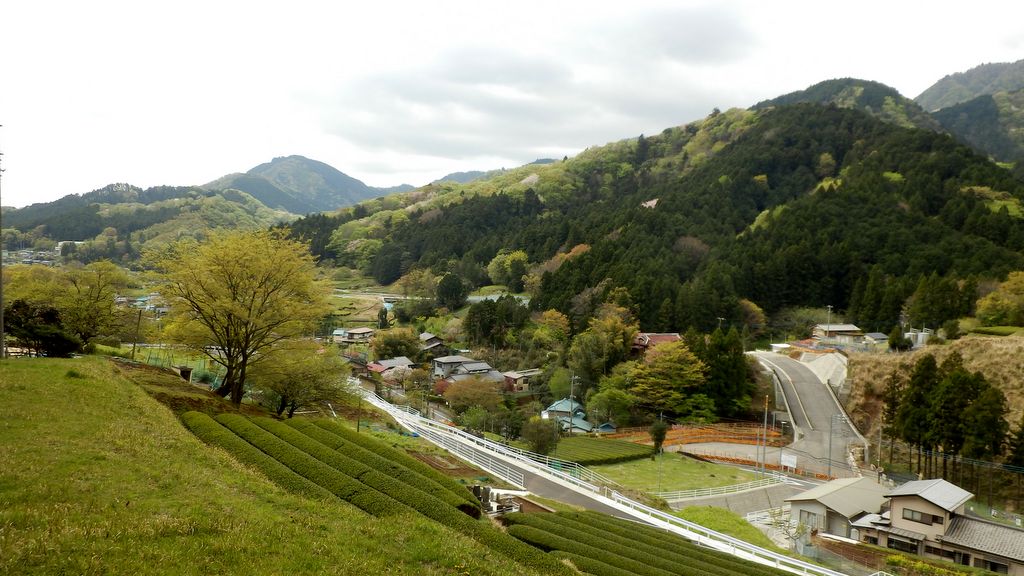 みやがせ道より、沢尻を望む