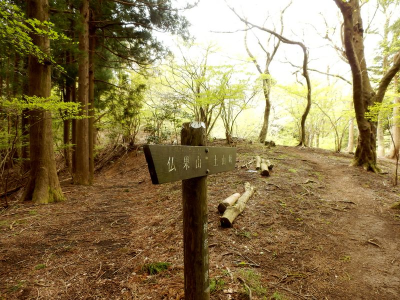 土山峠方向に進む