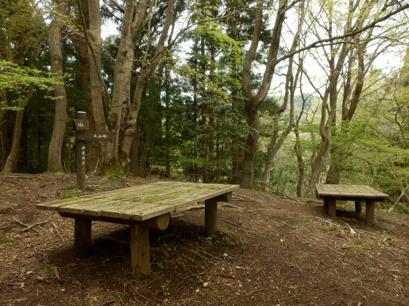 p4242924.jpg (large)