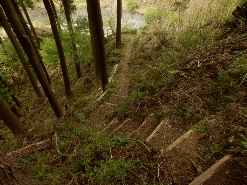 一旦県道に下りる