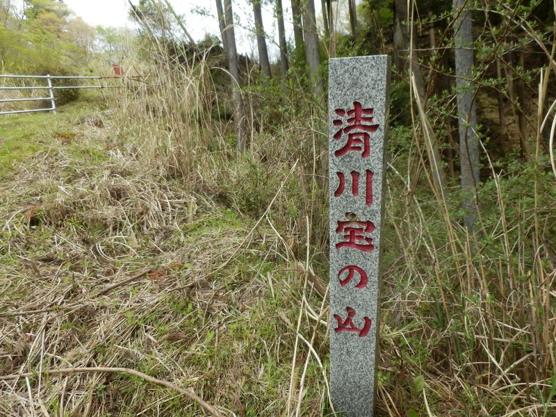 p4242929.jpg (large)