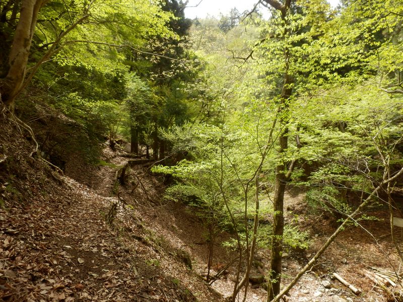 沢沿いの作業用径路