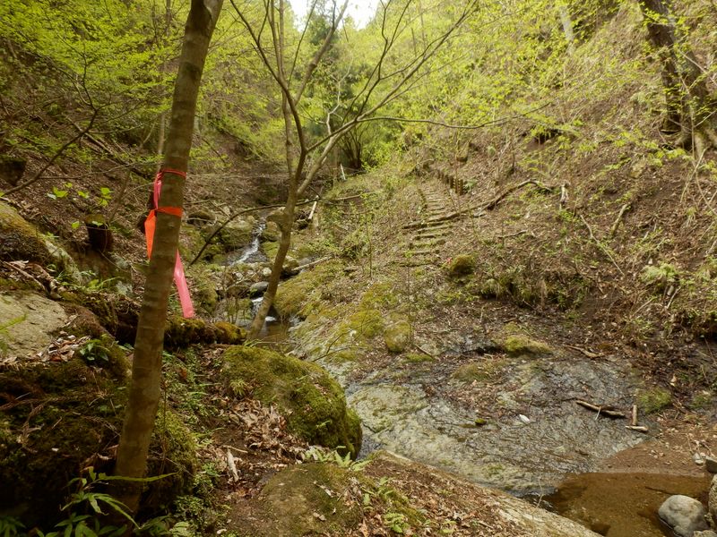左の尾根に上る
