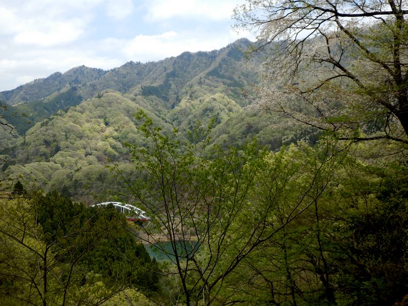 高取山と仏果山