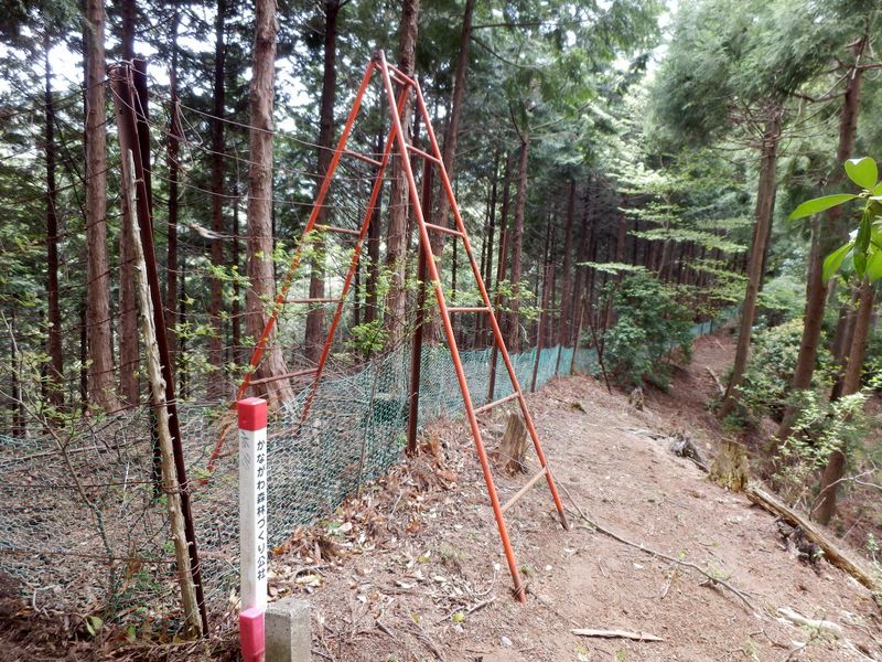 鹿柵（植生保護柵）は怖そう