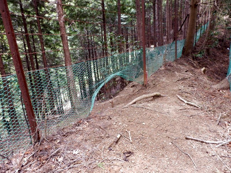 この穴をくぐった