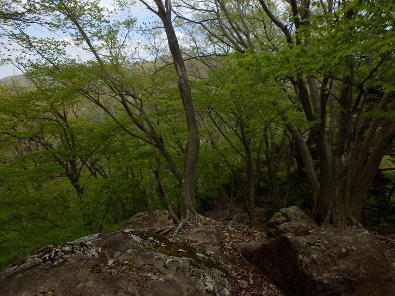 この岩場で昼食
